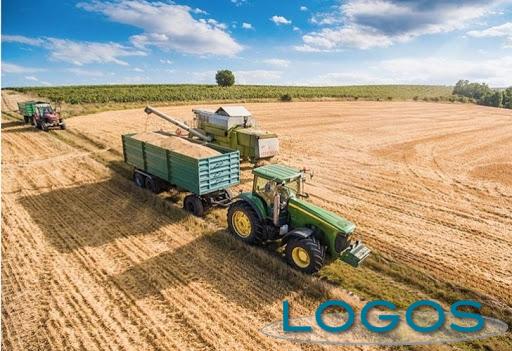 Territorio - Agricoltura (Foto internet)