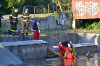 Cronaca - Il ritrovamento nel Villoresi (Foto Pubblifoto)