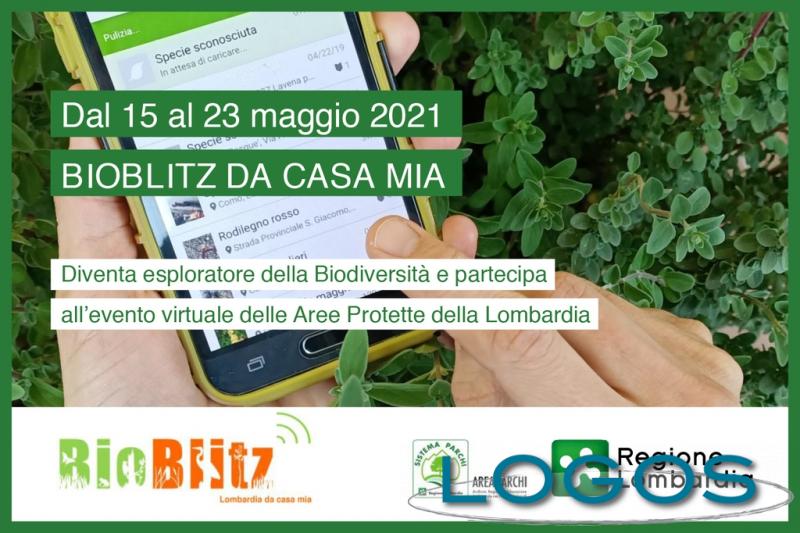 Ambiente - 'BioBlitz' 