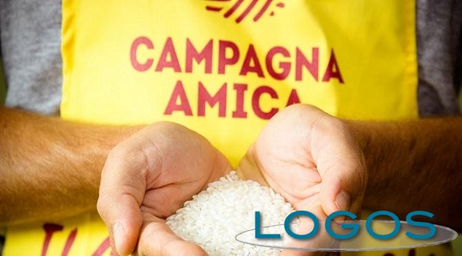 Sociale - Riso solidarietà (Foto internet) Sociale - Riso solidarietà (Foto internet)