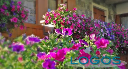 Ambiente - Giardino fiorito (Foto internet)