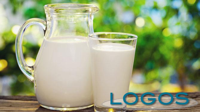 Sapori - Latte (Foto internet)