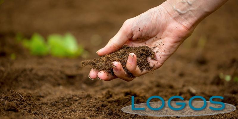 Territorio - Campo (Foto internet) Territorio - Campo (Foto internet)