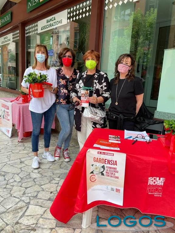 Salute - 'Bentornata Gardensia' 