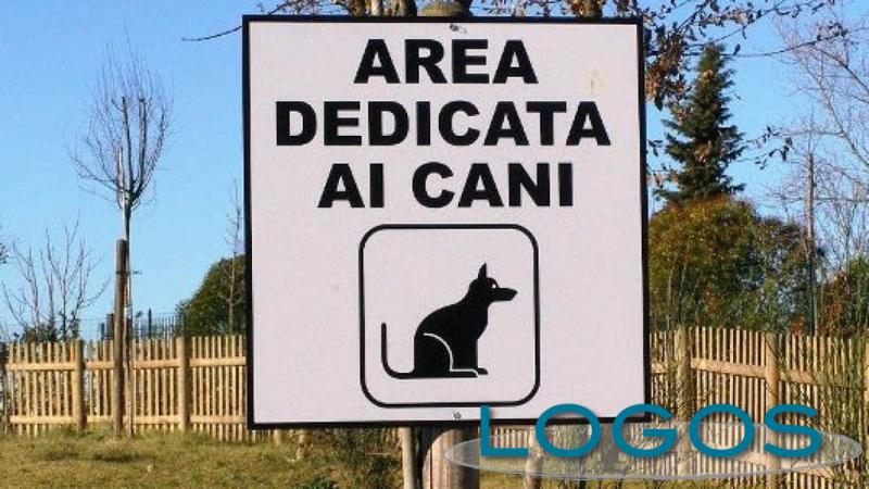 Attualità - Area cani (Foto internet)