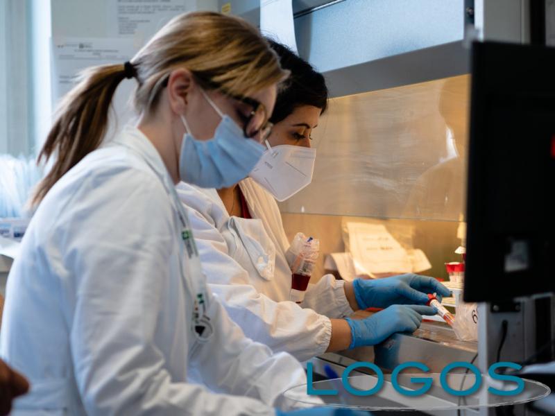 Salute - Ricerca (Foto internet) Salute - Ricerca (Foto internet)