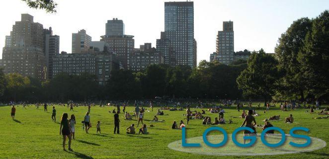 Ambiente - Verde urbano (Foto internet)