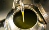 Sapori - Produzione olio (Foto internet)