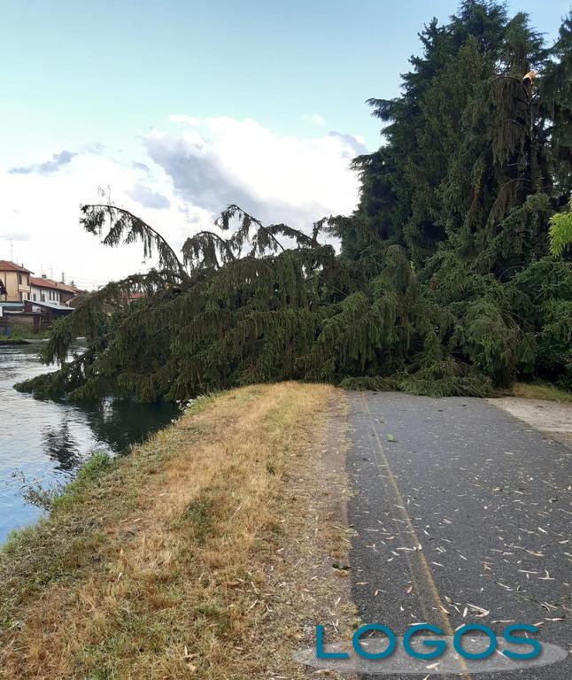 Territorio - Danni per il maltempo Territorio - Danni per il maltempo