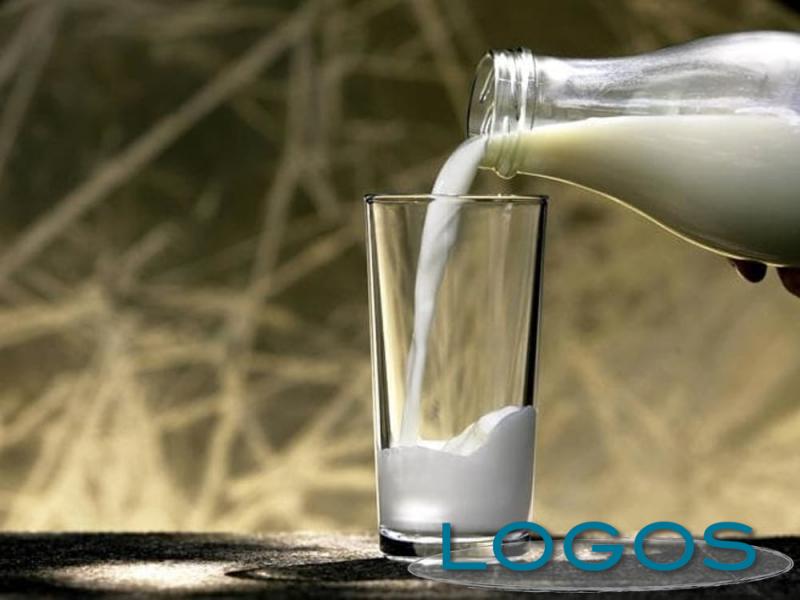 Attualità - Latte (Foto internet) Attualità - Latte (Foto internet)