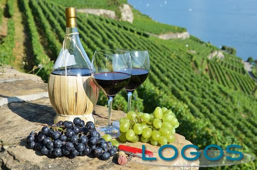 Attualità - Turismo vino (Foto internet)