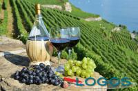 Attualità - Turismo vino (Foto internet)