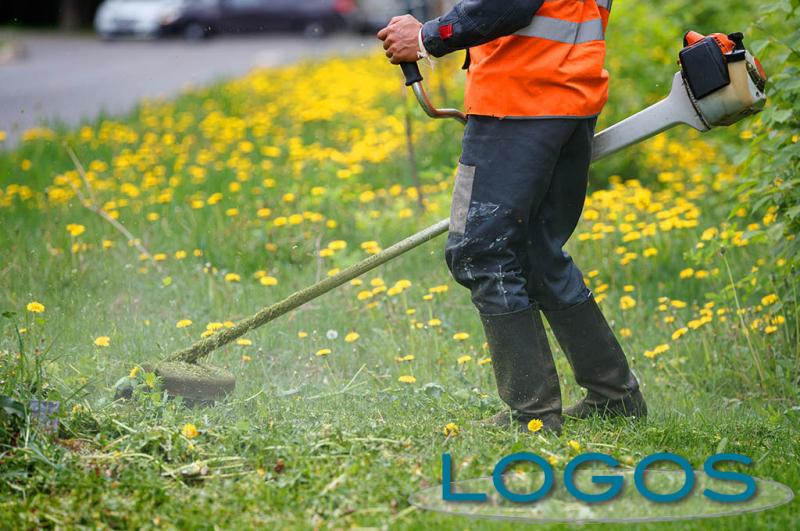 Territorio - Manutenzione verde (Foto internet)