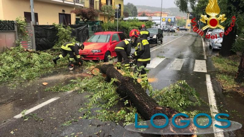 Territorio - Grandine e nubifragi in Lombardia (Foto internet)