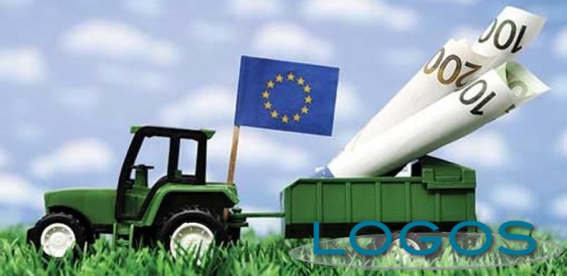 Territorio - Aziende agricole Pac (Foto internet)