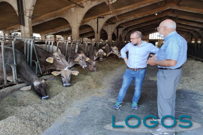 Territorio - Agricoltura di montagna Territorio - Agricoltura di montagna