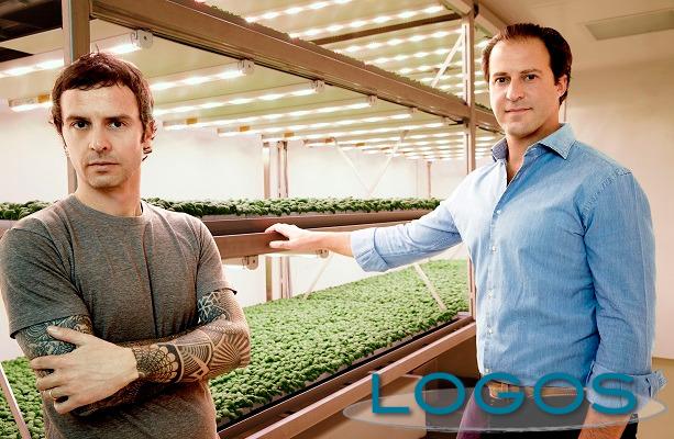 Ambiente - Planet Farms (Foto internet)