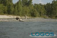 Territorio - Navigando il Ticino.7