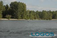 Territorio - Navigando il Ticino.8