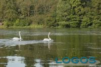 Territorio - Navigando il Ticino.9