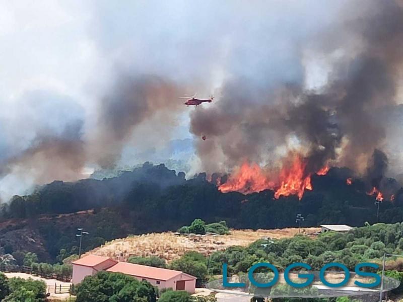 Attualità - Incendi (Foto internet)