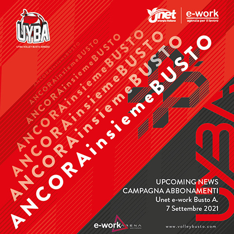 Busto Arsizio, Sport locale
