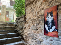 Territorio - Brolo... 'Il paese dei gatti' 