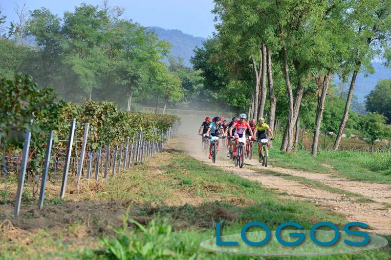 Sport / Eventi - 'GimondiBike Internazionale' (Foto internet)