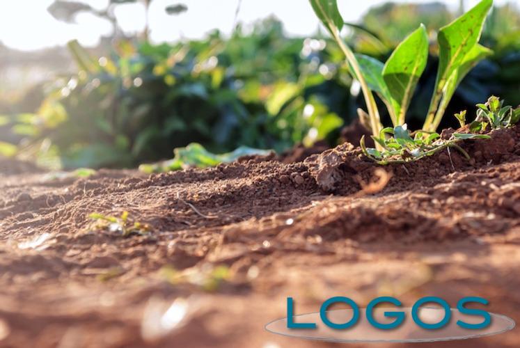 Ambiente - Difesa del suolo (Foto internet)