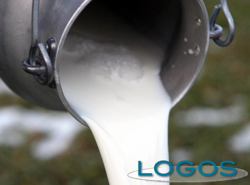 Sapori - Latte (Foto internet)