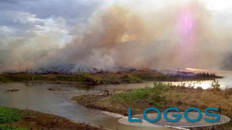 Ambiente - Qualità aria (Foto internet) Ambiente - Qualità aria (Foto internet)