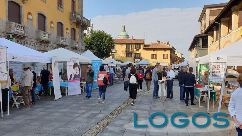 Eventi - Festa associazioni (Foto internet)