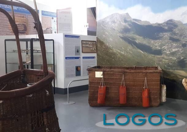 Territorio - Mongolfiere a Volandia (Foto internet) Territorio - Mongolfiere a Volandia (Foto internet)