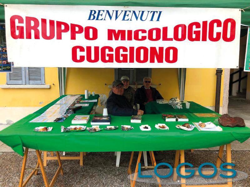 Cuggiono, Eventi