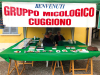 Cuggiono - Gruppo micologico 