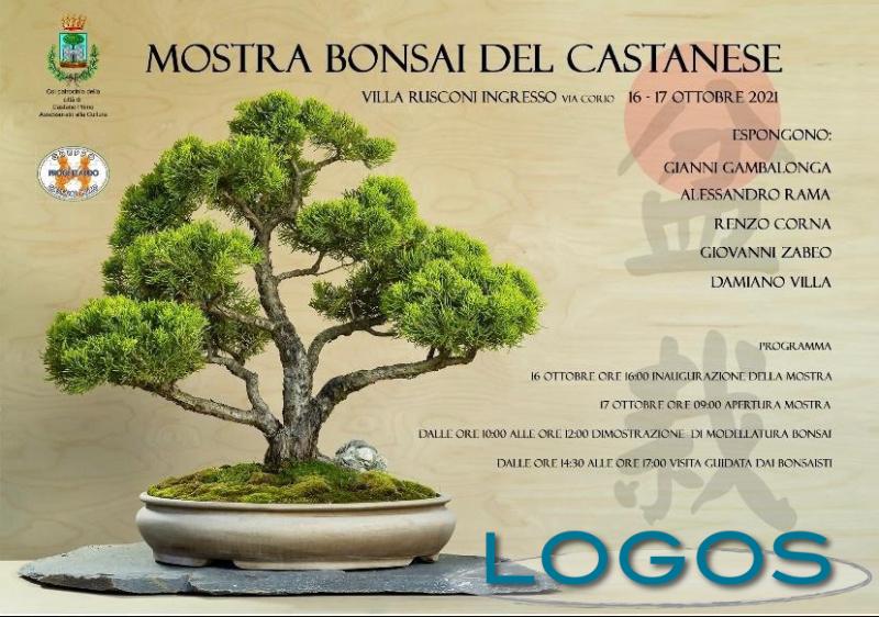 Castano / Eventi - Mostra bonsai 