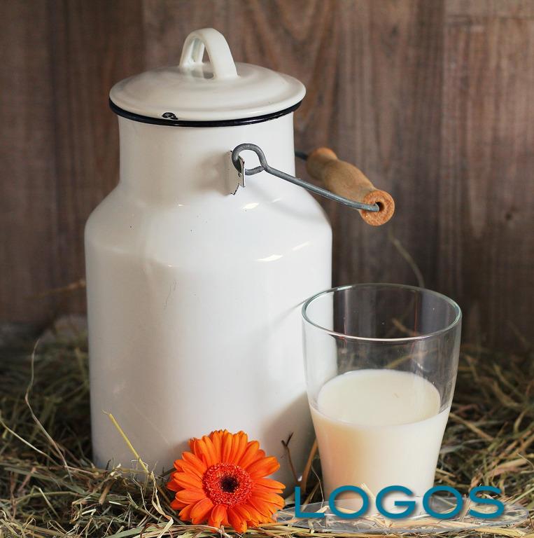 Sapori - Latte (Foto internet)