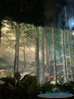 Attualità - Expo Dubai.2