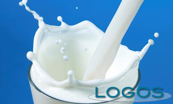 Sapori - Latte (Foto internet)