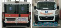 Territorio - Ambulanza veterinaria 