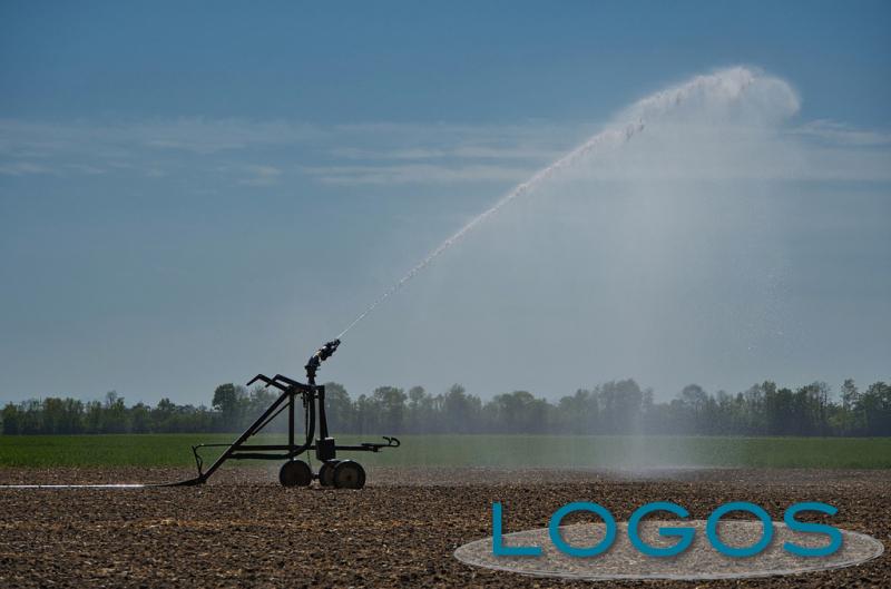 Ambiente - Irrigazione (Foto internet)