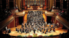 Musica - Coro orchestra Amadeus 