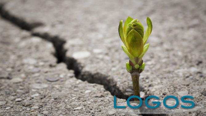 Ambiente - Consumo suolo (Foto internet)