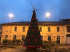 Inveruno / Eventi - L'albero di Natale in piazza 