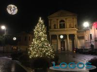 Cuggiono - L'albero in piazza 