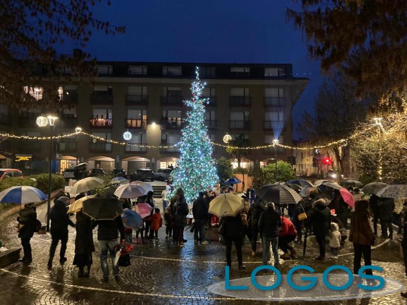 Vanzaghello / Eventi - L'albero di Natale in piazza Sant'Ambrogio 