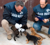 Attualità - Natale festa per tutti, anche per gli animali (Facebook Carabinieri)