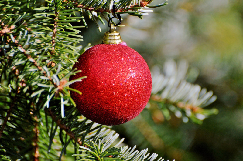 Attualità - Albero di Natale (Foto internet)