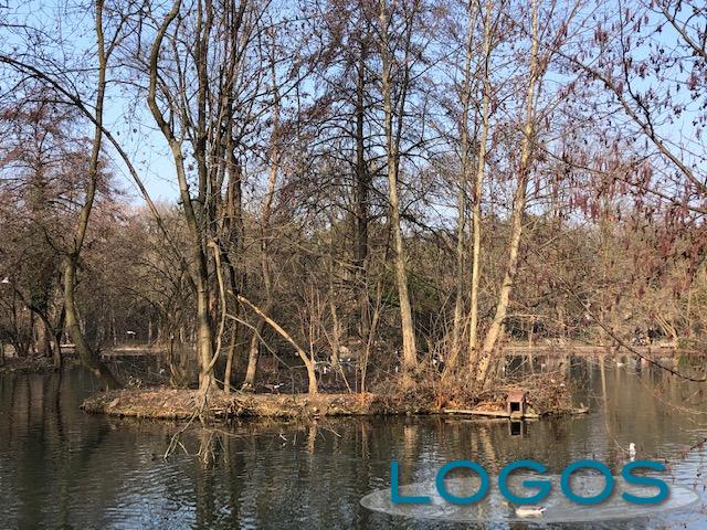 Legnano - Il laghetto del Parco Castello 