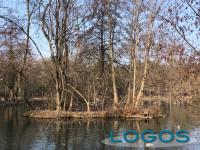 Legnano - Il laghetto del Parco Castello 